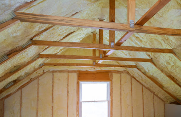Best Professional Insulation Contractor  in Clarksville, IA