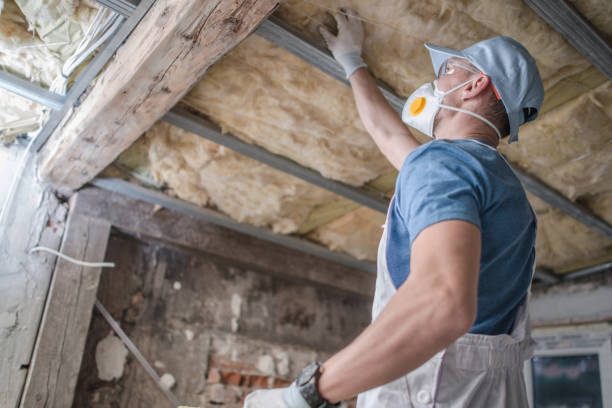 Best Insulation Removal  in Clarksville, IA
